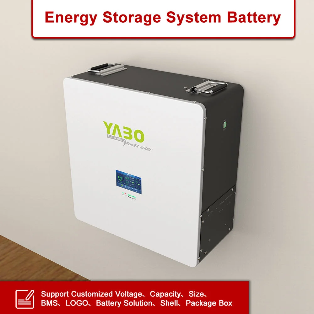 Batterie de Stockage Domestique LiFePO4 10.24kWh - WM1610K